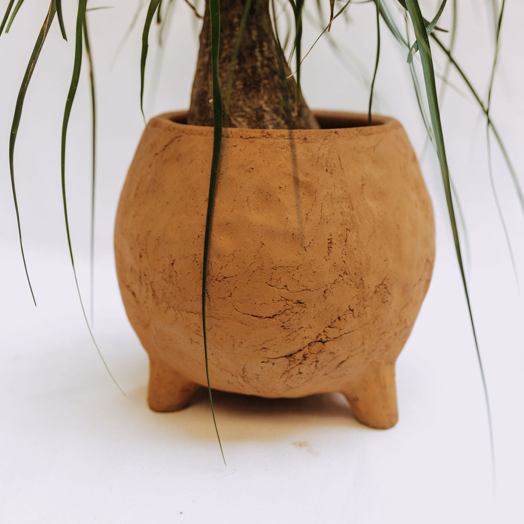 Round Clay Pot