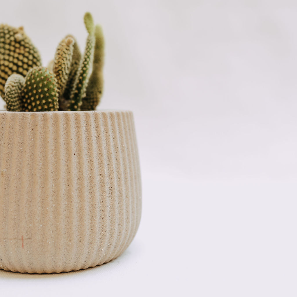 Small Textured Pot